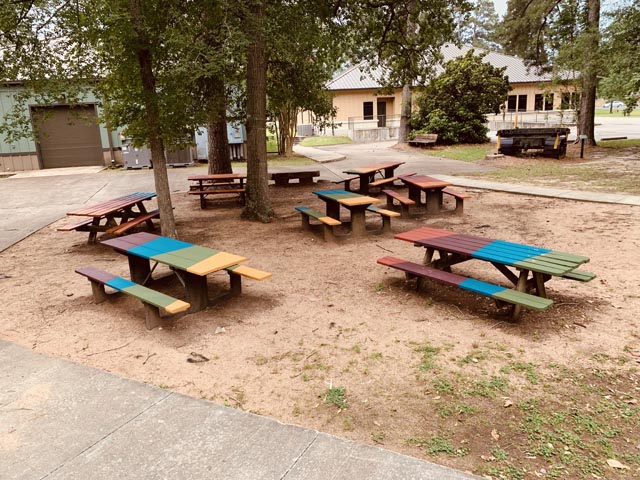 Texas Forestry Museum